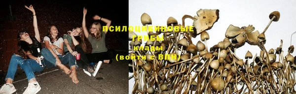 марихуана Баксан